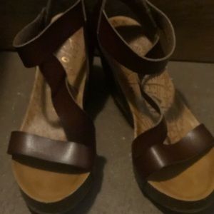 Blowfish brown wedge